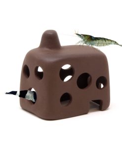 Alternative view of Aquavitro Shrimp Small Hut