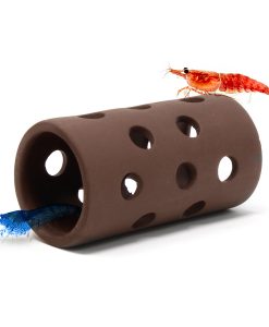 Alternative view of Aquavitro Shrimp Tube