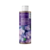 Aquaforest-Liquid-Rotifers