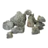 Blackish Lichen Stone