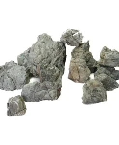 Blackish Lichen Stone