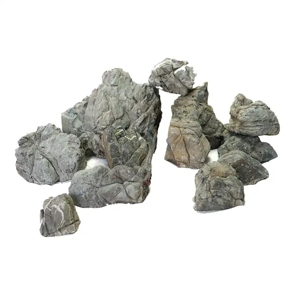 Blackish Lichen Stone