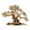 Aquarium Bonsai Tree