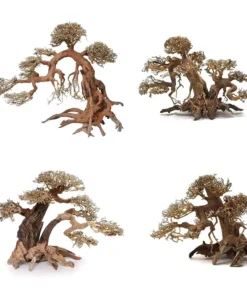 Aquarium Bonsai Tree