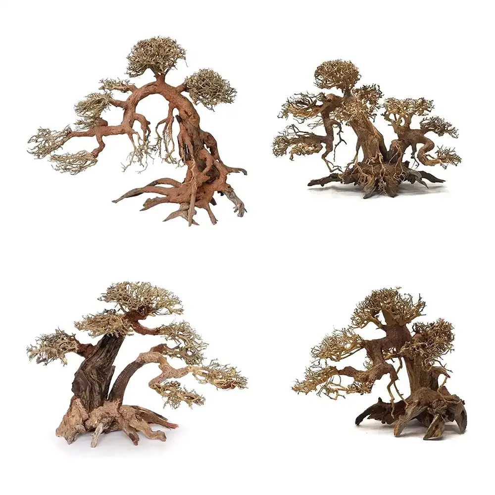 Aquarium Bonsai Tree
