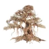 Aquarium Bonsai Tree - Banyan Style