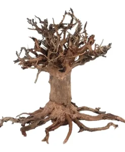 Aquarium Bonsai Tree - Cloud Style