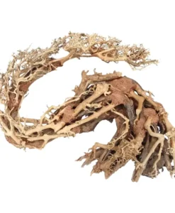 Aquarium Bonsai Tree - Dragon Style