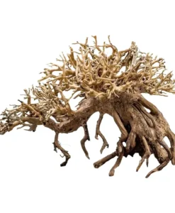 Aquarium Bonsai Tree - NP57