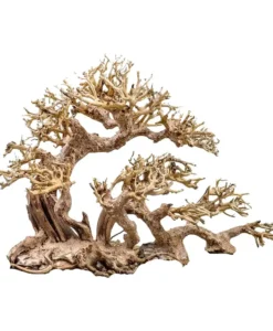Aquarium Bonsai Tree - NP58