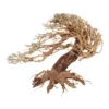 Aquarium Bonsai Tree - Romantic Style