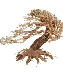 Aquarium Bonsai Tree - Romantic Style