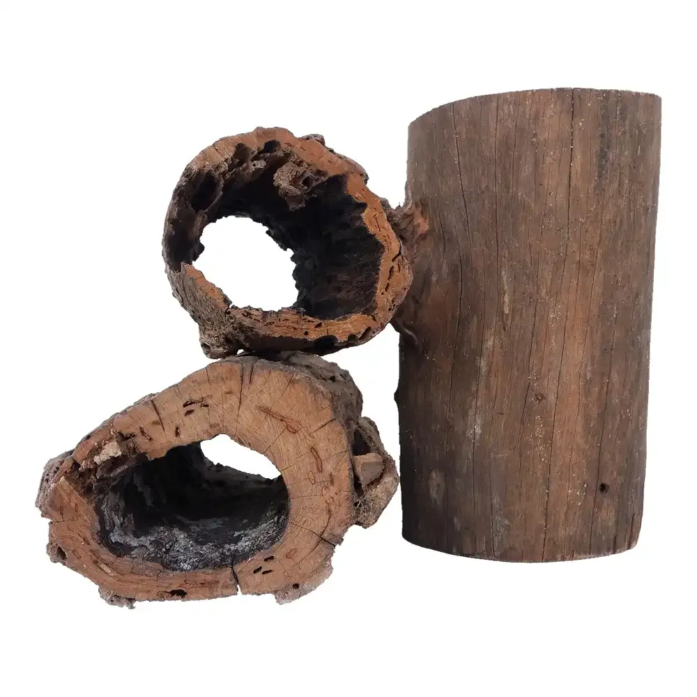 Aquarium Hollow Wood