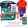 Indica Aqua Soil Combo Pack | 9L