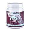 Life Aayu Arowana Food | Regular | 300g