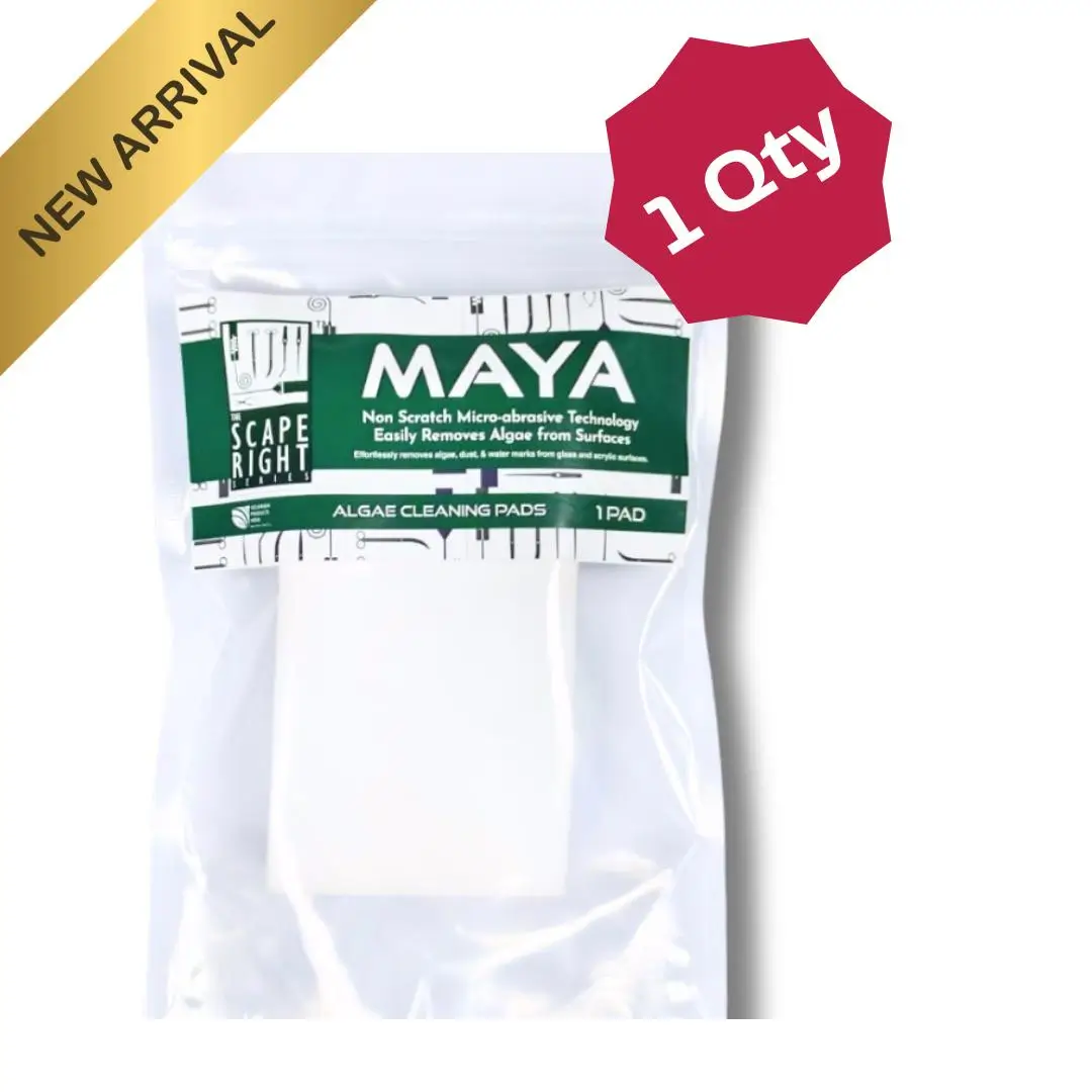 Maya Algae Cleaning Pads | Pack of 1