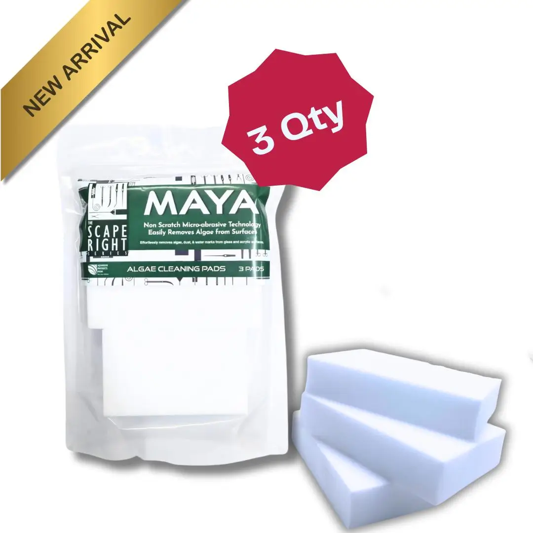 Maya Algae Cleaning Pads | Pack of 3