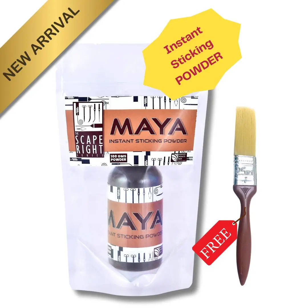 Maya Instant Sticking Powder