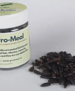 Alternative view of Promeal Dried Beetles