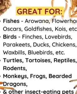 Alternative view of Promeal Dried Superworms