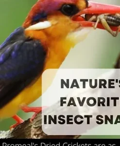 Alternative view of Promeal Dried Crickets