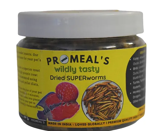 Promeal Dried Superworms