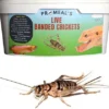 Promeal Live Banded Crickets