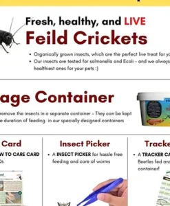 Alternative view of Promeal Live Black Feild Crickets