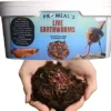 Promeal Live Earthworms