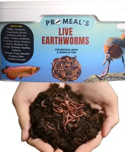 Promeal Live Earthworms