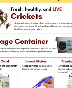 Alternative view of Promeal Live House Crickets