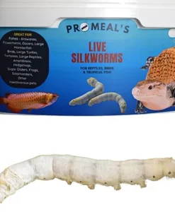 Promeal Live Silkworms