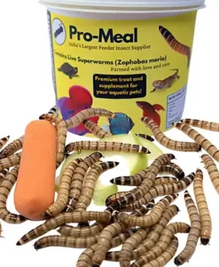 Promeal Live Superworms