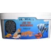 Promeal Live Tiny Size Mealworms