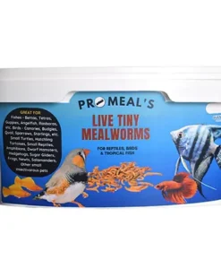 Promeal Live Tiny Size Mealworms