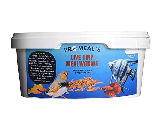 Promeal Live Tiny Size Mealworms