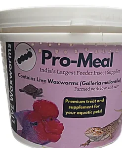 Promeal Live Waxworm