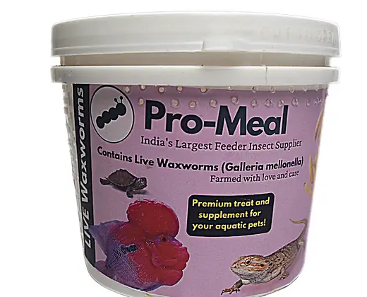 Promeal Live Waxworm