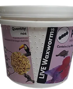 Alternative view of Promeal Live Waxworm