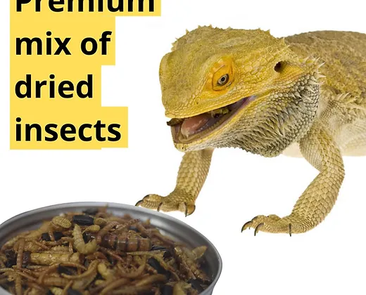 Promeal Medley Treat Insect Mix for Bearded Dragons - Image 2