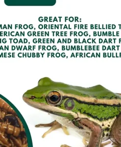 Alternative view of Promeal Medley Treat Insect Mix for Exotic Frog