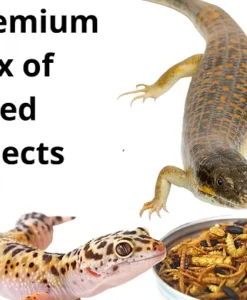Alternative view of Promeal Medley Treat Insect Mix for Geckos and Skinks
