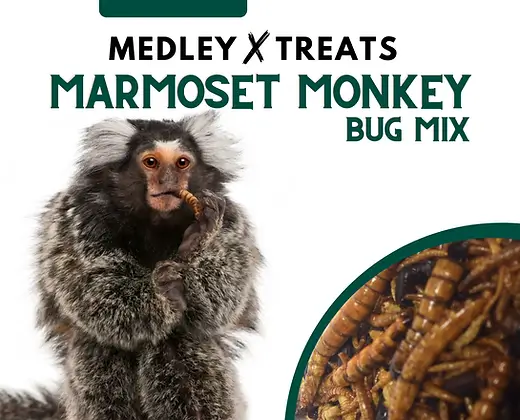 Promeal Medley Treat Insect Mix for Marmoset Monkey - Image 2
