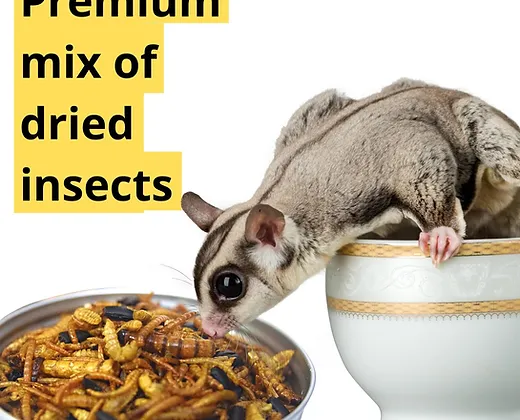 Promeal Medley Treat Insect Mix for Sugar Glider - Image 4