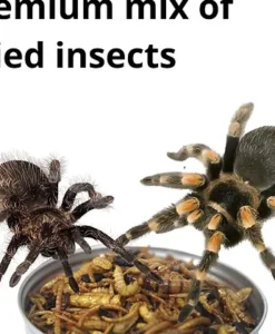 Alternative view of Promeal Medley Treat Insect Mix for Tarantula Spiders