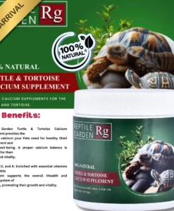 Alternative view of Reptile Garden Turtle & Tortoise Calcium Supplement | 100g