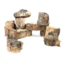 Wood Fossil Stone