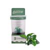 Anubias 'Petite' - GroWoW! Series