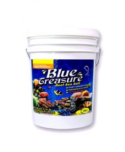 Blue Treasure Reef Salt 20 kg bucket