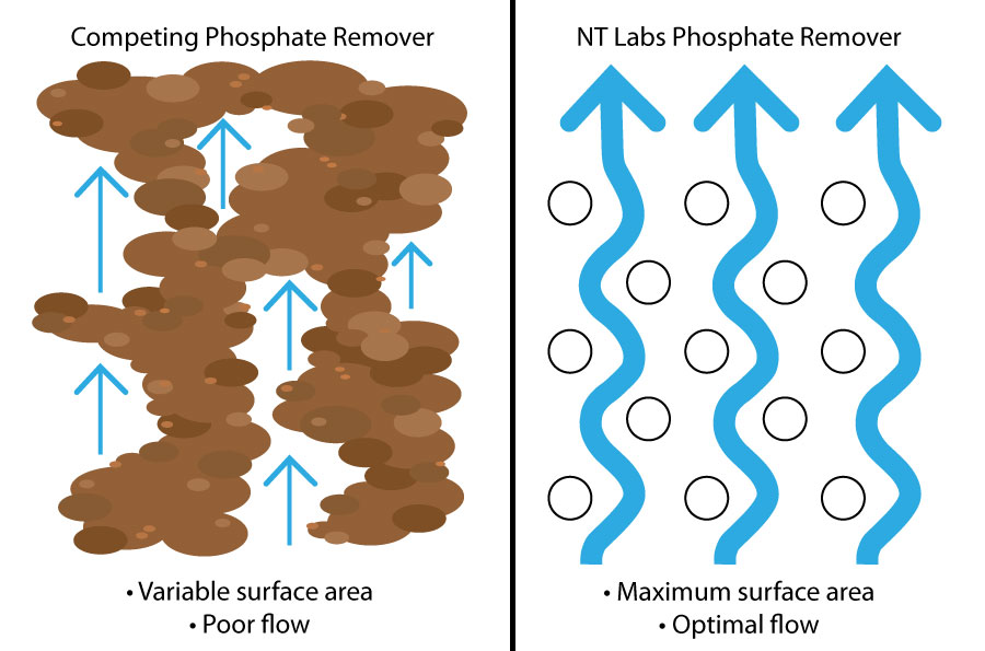 NT Labs Phosphate Remover | 180g - Image 3